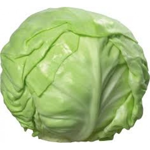 Zelifly ,Cabbage - Organically Grown (Loose), 1 pc (approx. 300 gm-1.3 Kg) [vegetables]