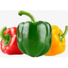 Zelifly , Capsicum - Green/Red/Yellow (Loose), 500 g