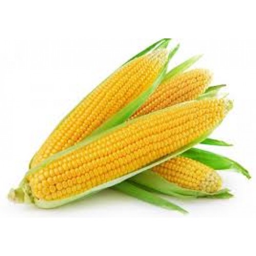 Zelifly , Sweet Corn / Indian Bhutta, 1 pc [vegetables]